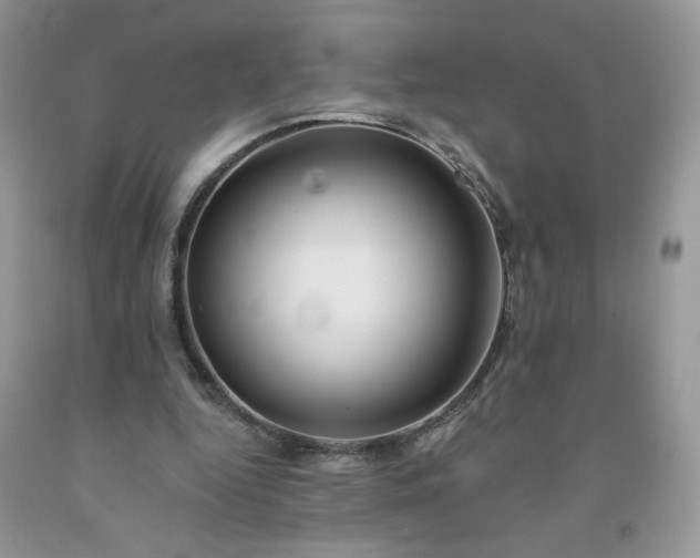 X0000091670344200709061047