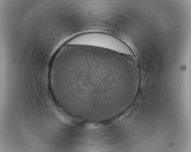 X0000091670346200709061047