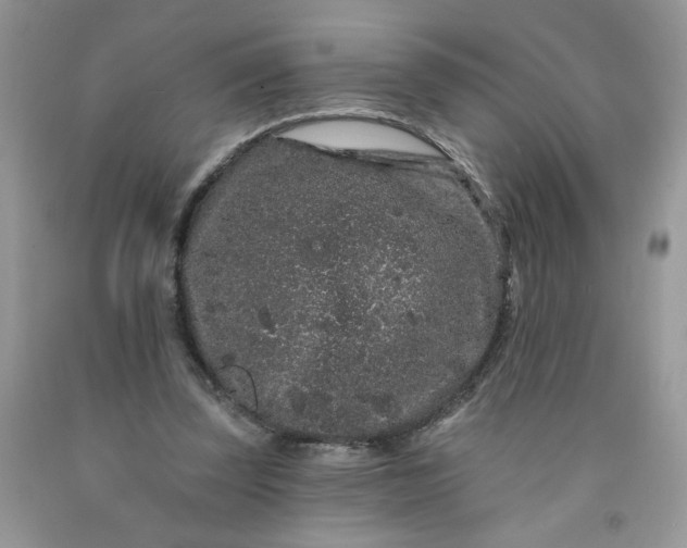 X0000091670347200709061047
