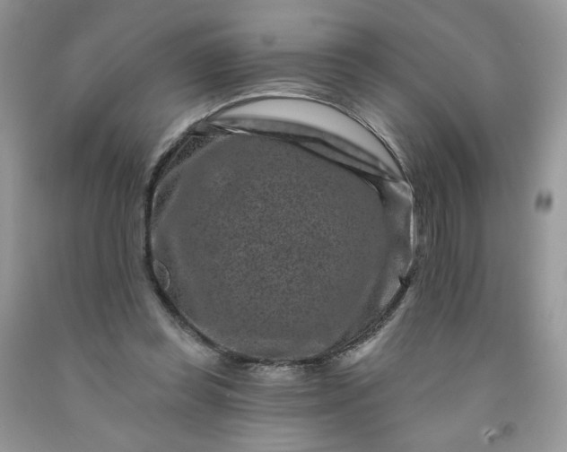X0000091670349200709061047