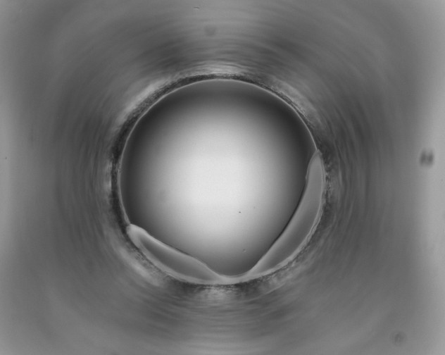 X0000091670350200709061047