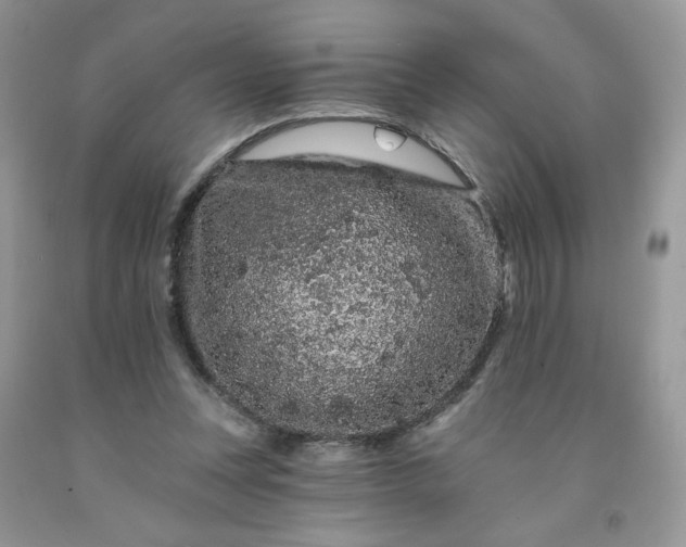 X0000091670351200709061047