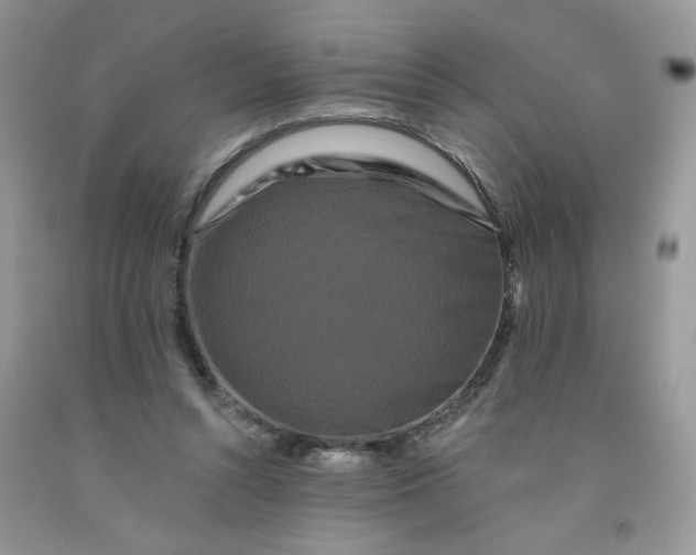 X0000091670352200709061047