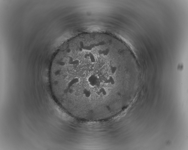 X0000091670353200709061047
