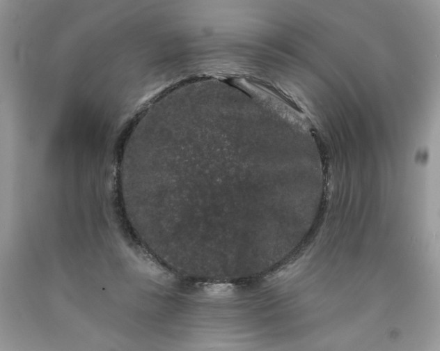 X0000091670355200709061048