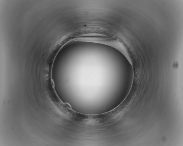 X0000091670356200709061048