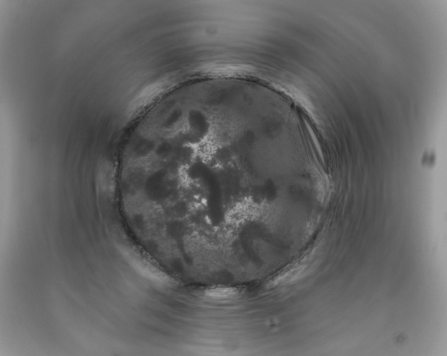 X0000091670357200709061048