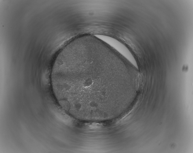 X0000091670359200709061048