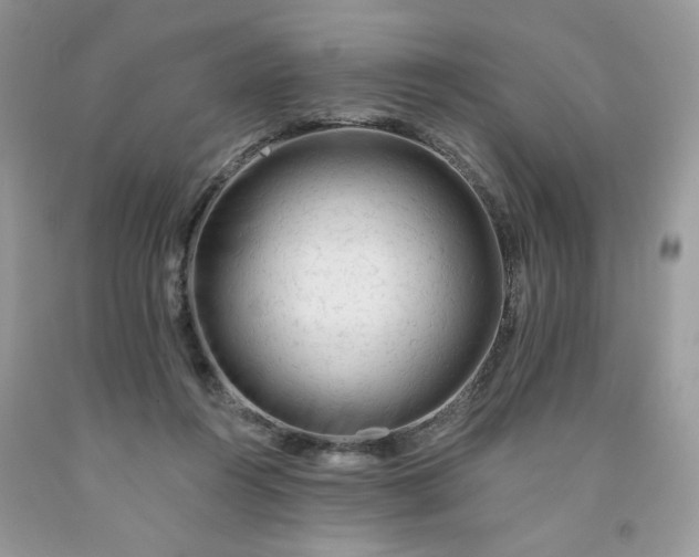 X0000091670360200709061048