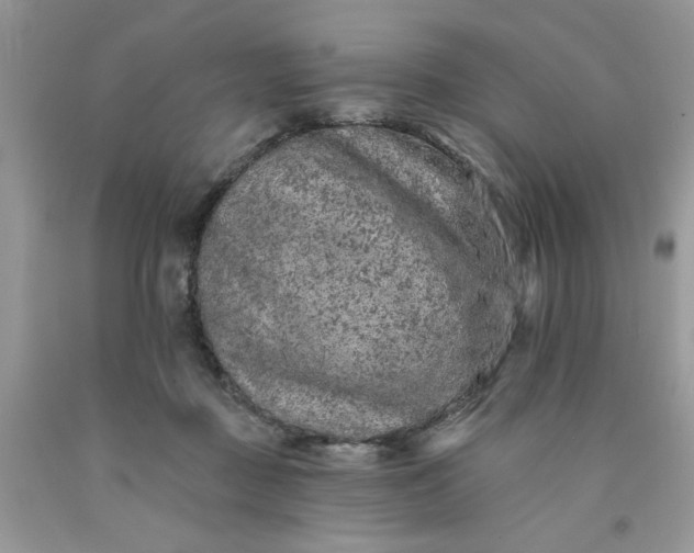 X0000091670363200709061048