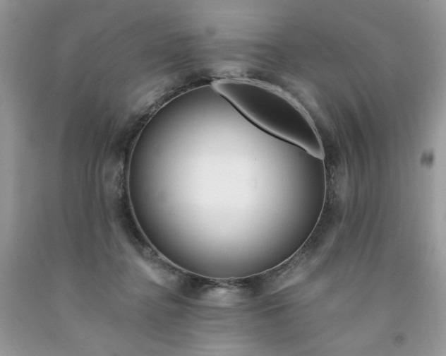 X0000091670364200709061048