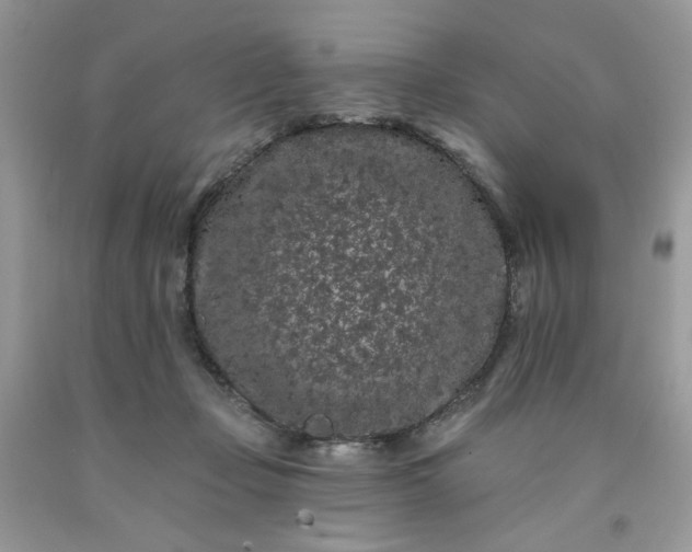 X0000091670365200709061048