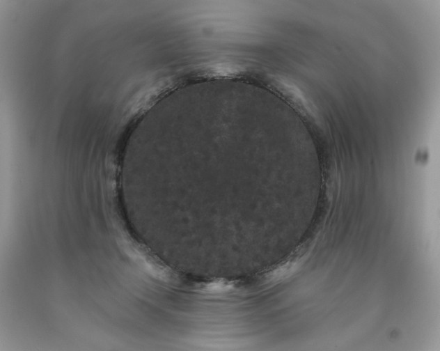 X0000091670366200709061048