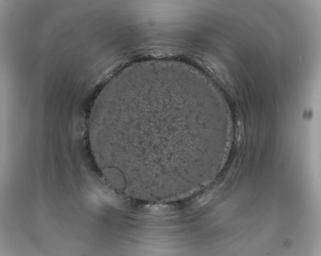X0000091670367200709061048