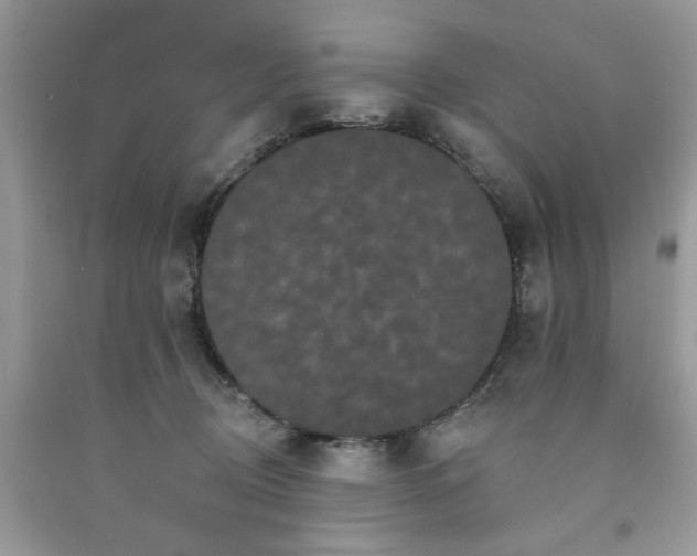 X0000091670370200709061048