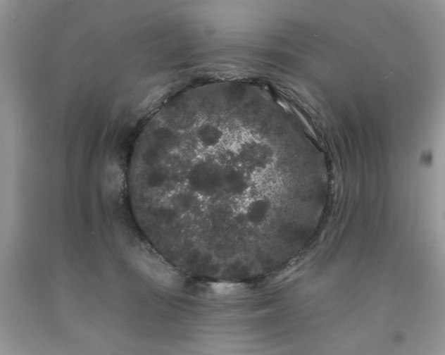 X0000091670371200709061048