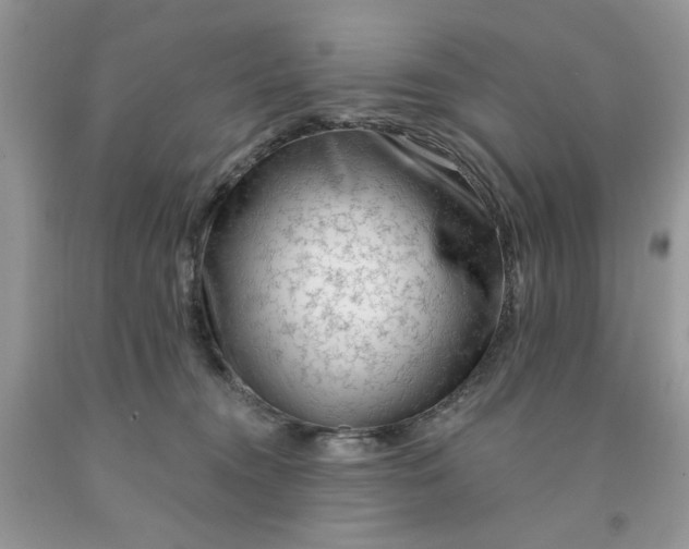 X0000091670372200709061048