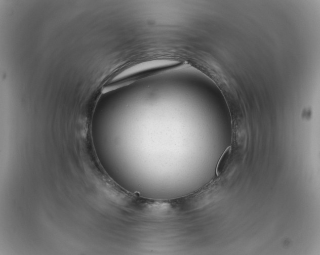 X0000091670374200709061048