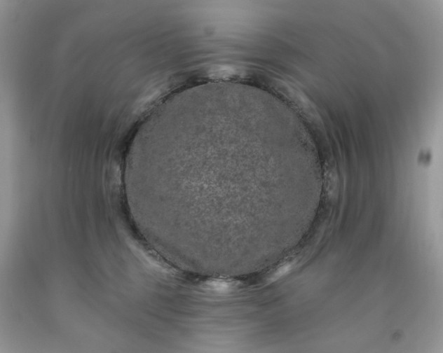 X0000091670375200709061048