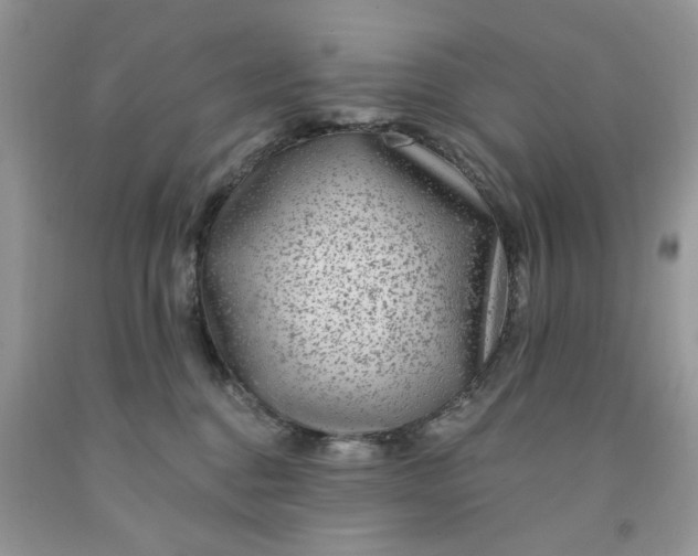 X0000091670376200709061048