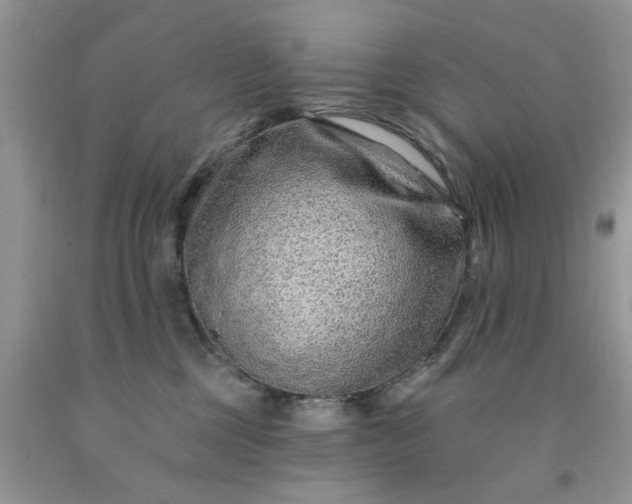 X0000091670377200709061048