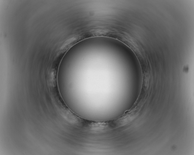 X0000091670378200709061048