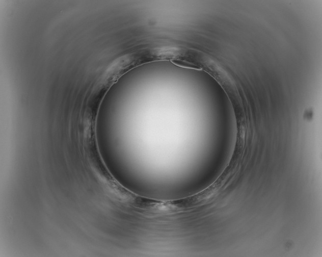 X0000091670379200709061048