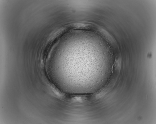 X0000091670381200709061048