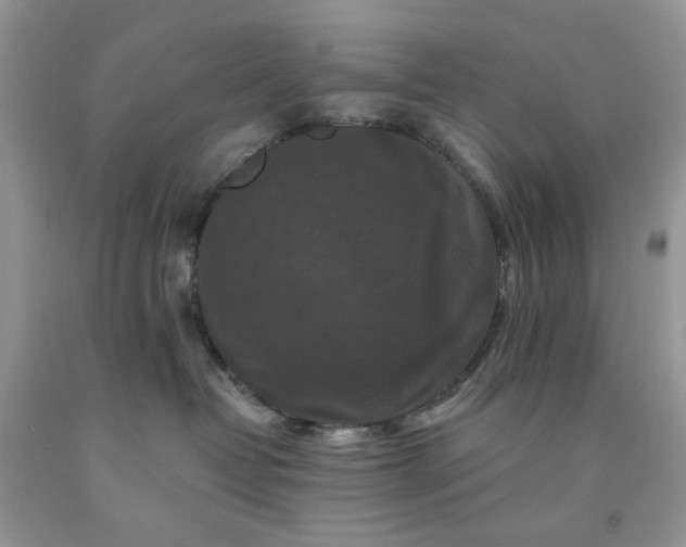 X0000091670382200709061048