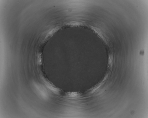 X0000091670383200709061048