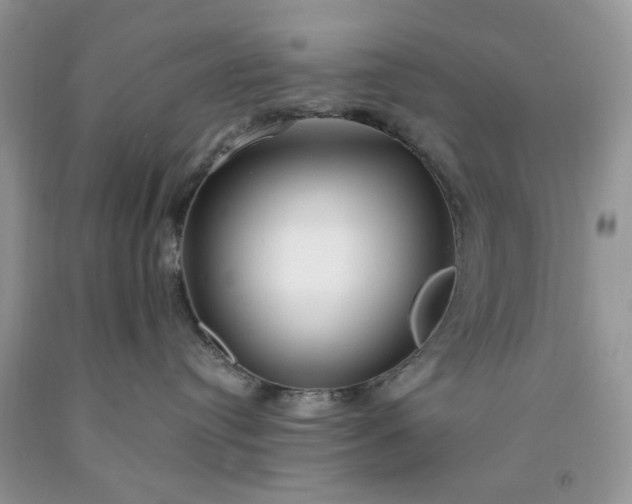 X0000091670384200709061048