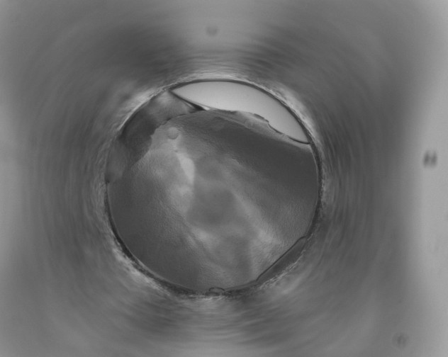 X0000091670385200709061047