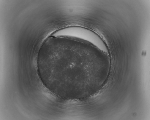 X0000091670386200709061047