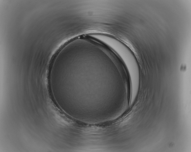 X0000091670387200709061047