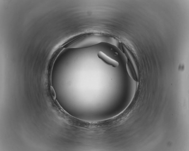 X0000091670388200709061047