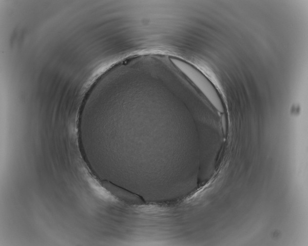 X0000091670389200709061047