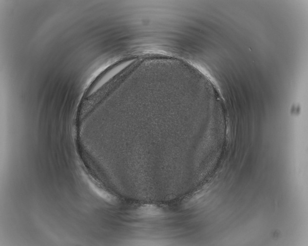 X0000091670390200709061047