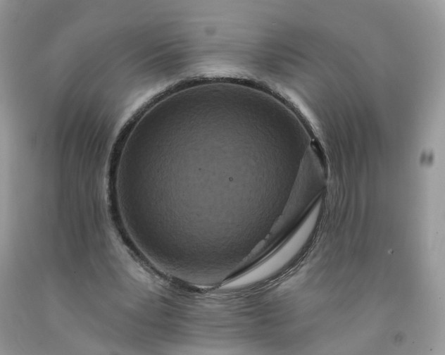 X0000091670391200709061047