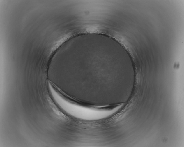X0000091670393200709061047