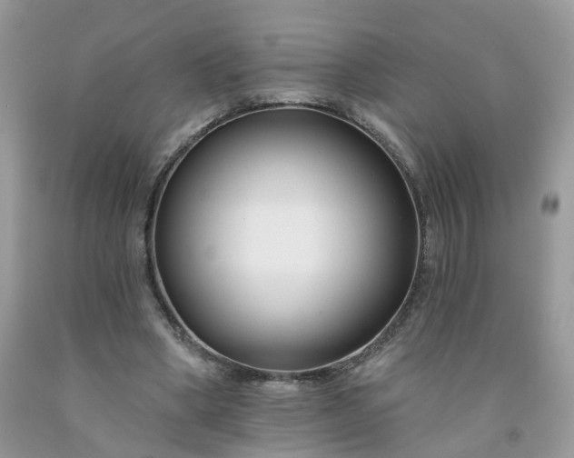 X0000091670394200709061047
