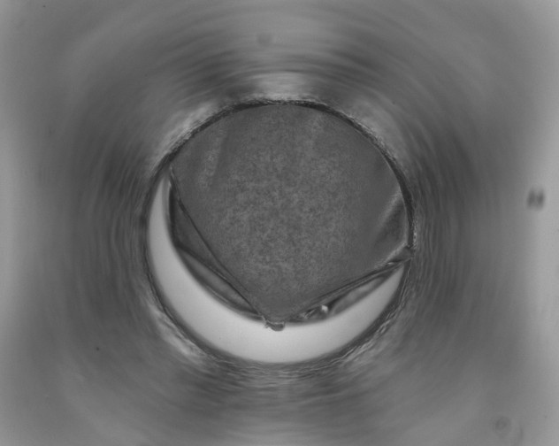 X0000091670397200709061047