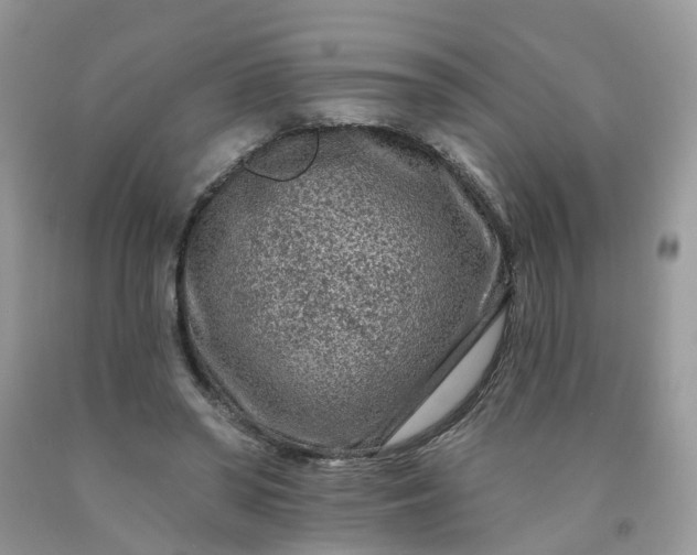 X0000091670398200709061047