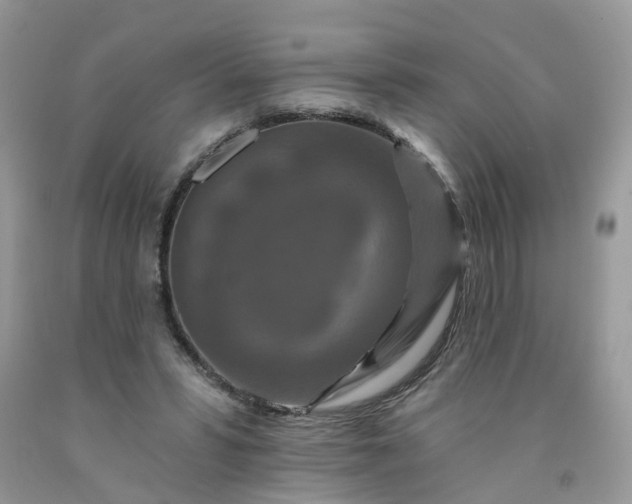 X0000091670399200709061047