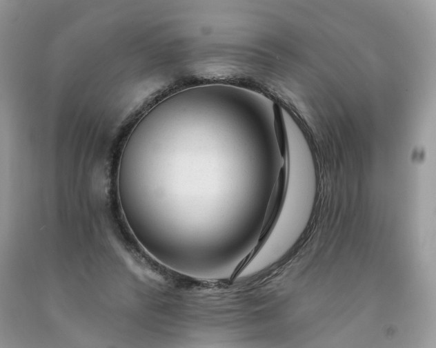 X0000091670400200709061047