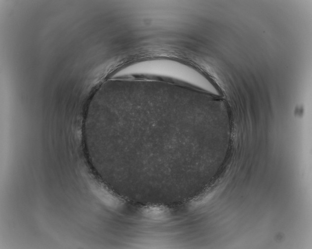 X0000091670402200709061047