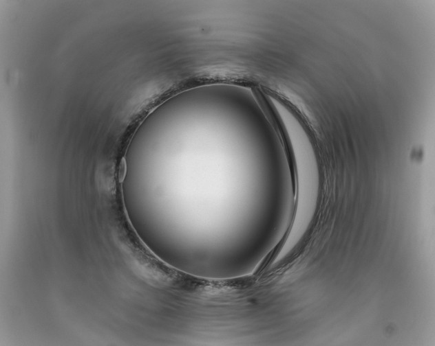 X0000091670403200709061047