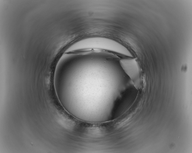 X0000091670404200709061047