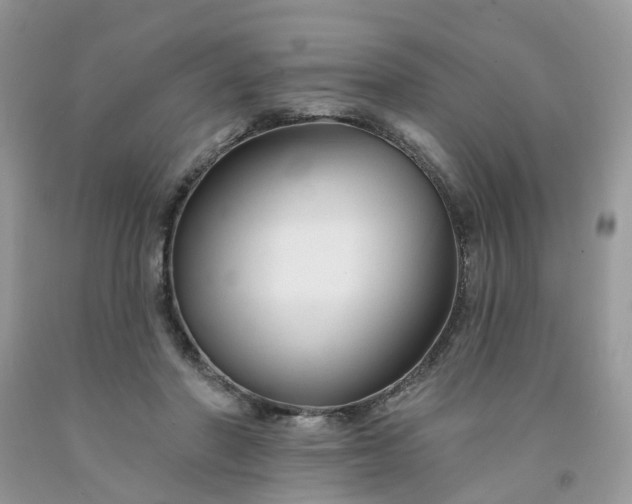X0000091670406200709061047