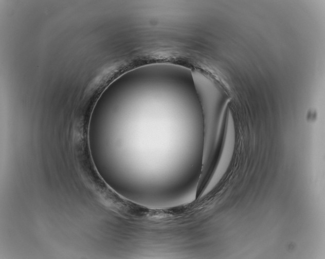 X0000091670407200709061047