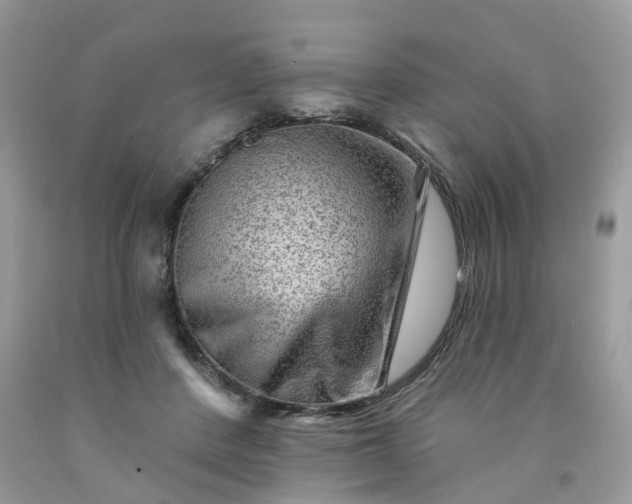 X0000091670408200709061047